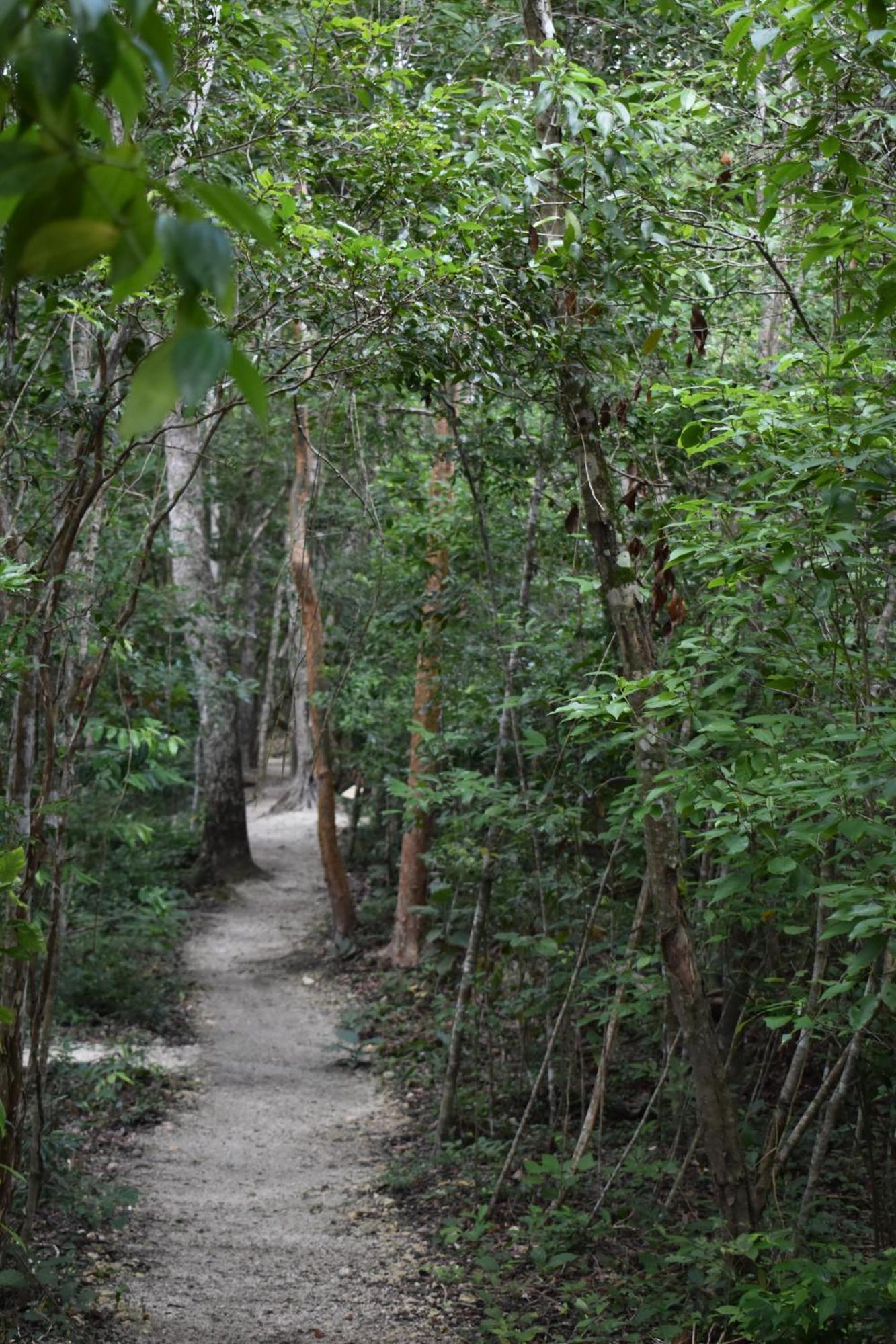 Eco Aldea Kinich Ahau Βίλα Xpujil Εξωτερικό φωτογραφία