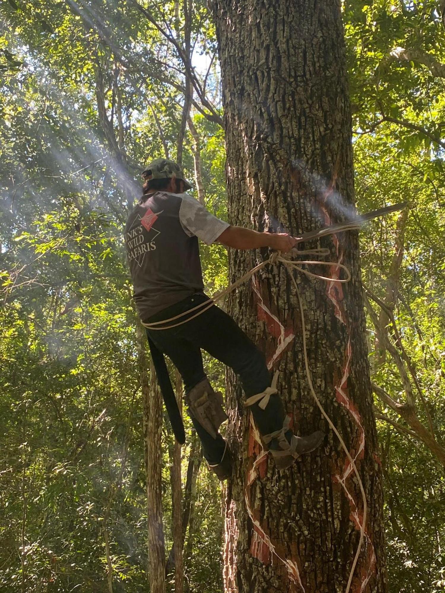 Eco Aldea Kinich Ahau Βίλα Xpujil Εξωτερικό φωτογραφία